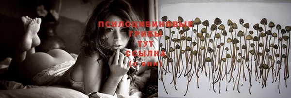 герыч Медвежьегорск