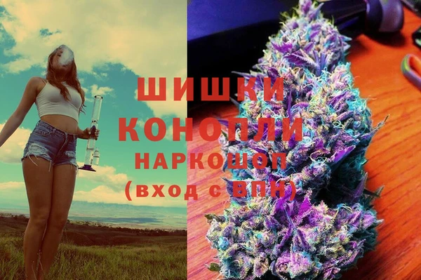 ECSTASY Майский
