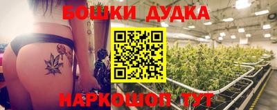 крисы Ипатово