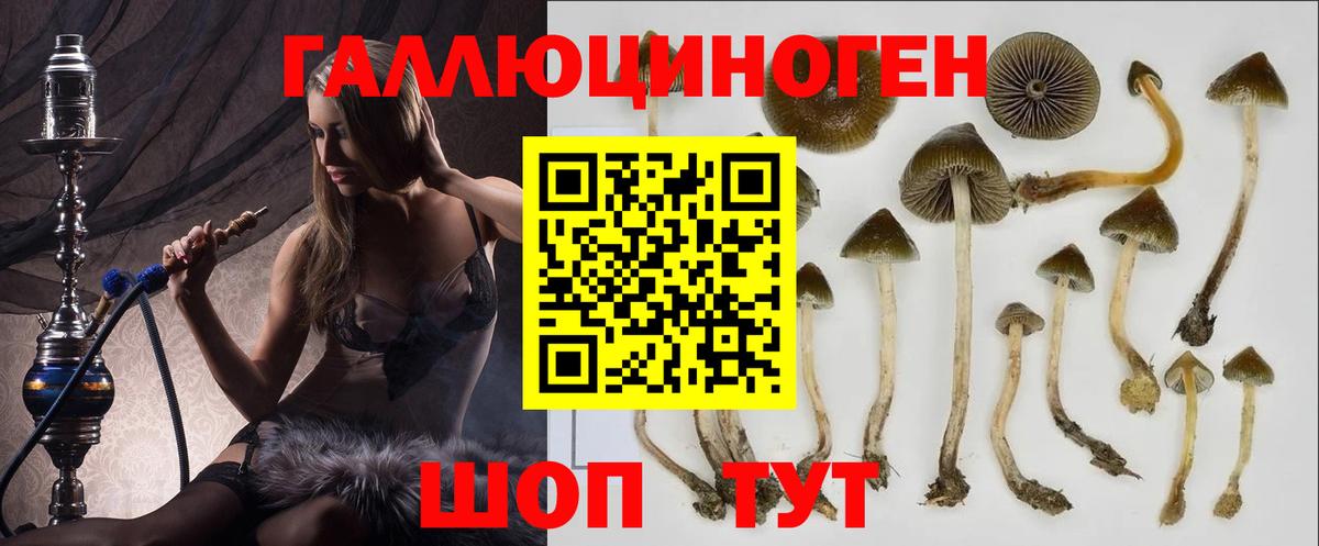 Псилоцибиновые грибы мухоморы  Псилоцибиновые грибы мицелий  Полевской 